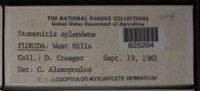 Image Associated With the Occurence